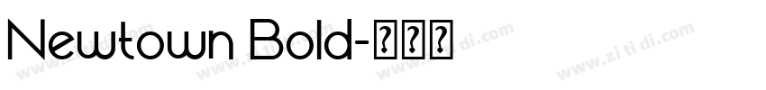 Newtown Bold字体转换